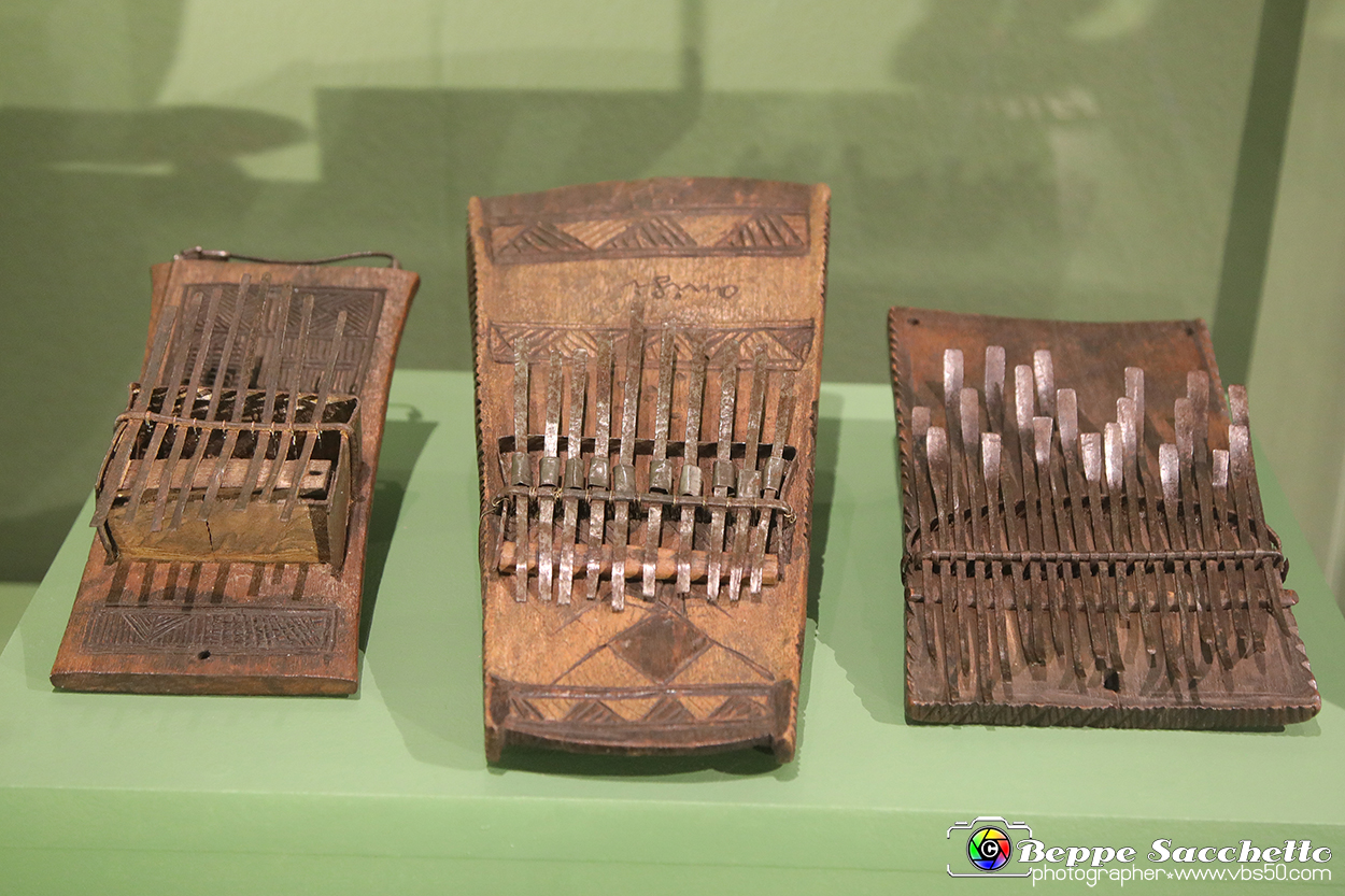 VBS_5453 - Africa - Le collezioni dimenticate.jpg